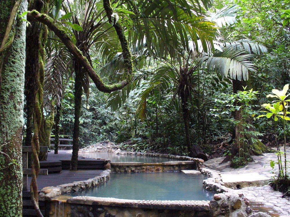 Termales Del Bosque & Hot Springs 호텔 La Marina 외부 사진