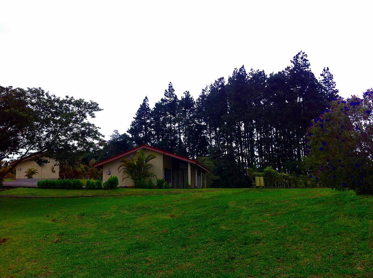 Termales Del Bosque & Hot Springs 호텔 La Marina 외부 사진