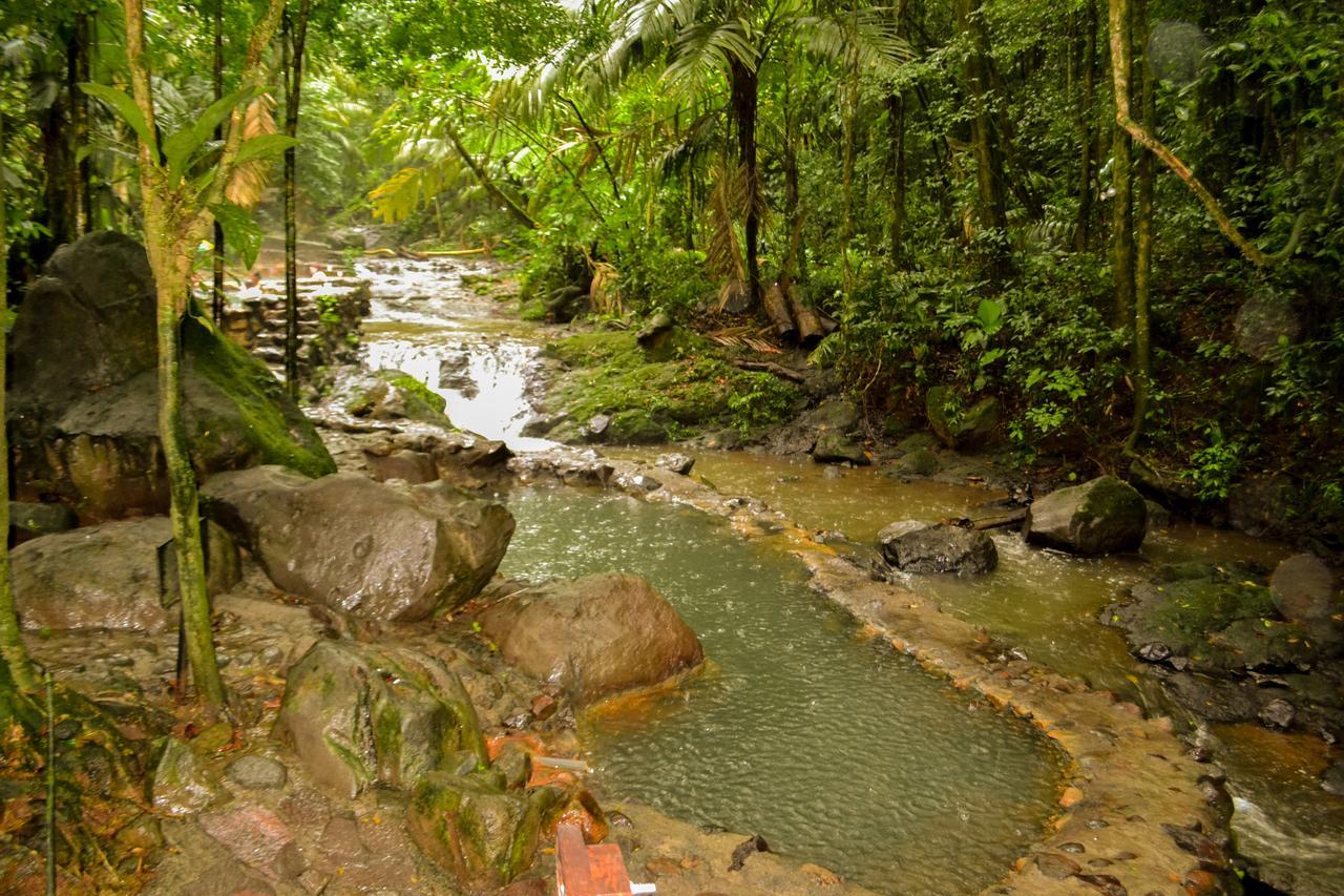 Termales Del Bosque & Hot Springs 호텔 La Marina 외부 사진