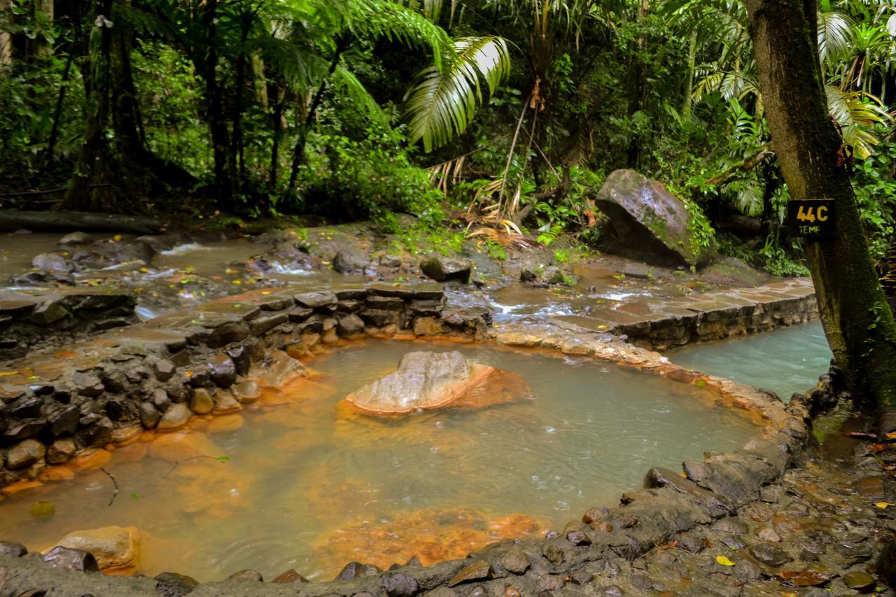 Termales Del Bosque & Hot Springs 호텔 La Marina 외부 사진