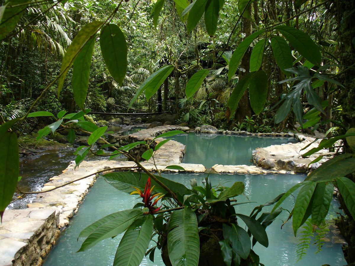 Termales Del Bosque & Hot Springs 호텔 La Marina 외부 사진