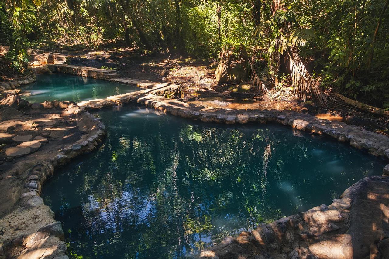 Termales Del Bosque & Hot Springs 호텔 La Marina 외부 사진