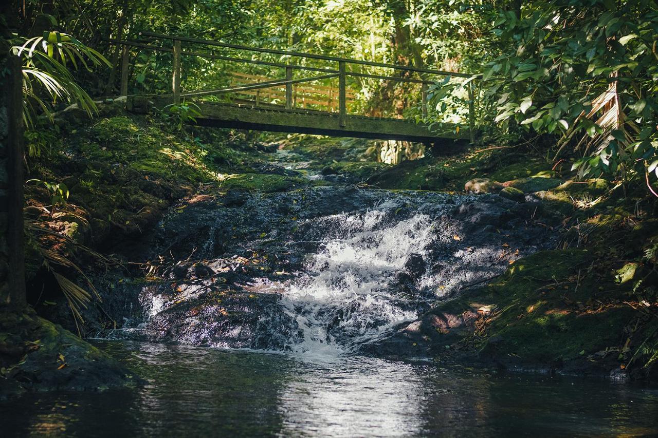 Termales Del Bosque & Hot Springs 호텔 La Marina 외부 사진