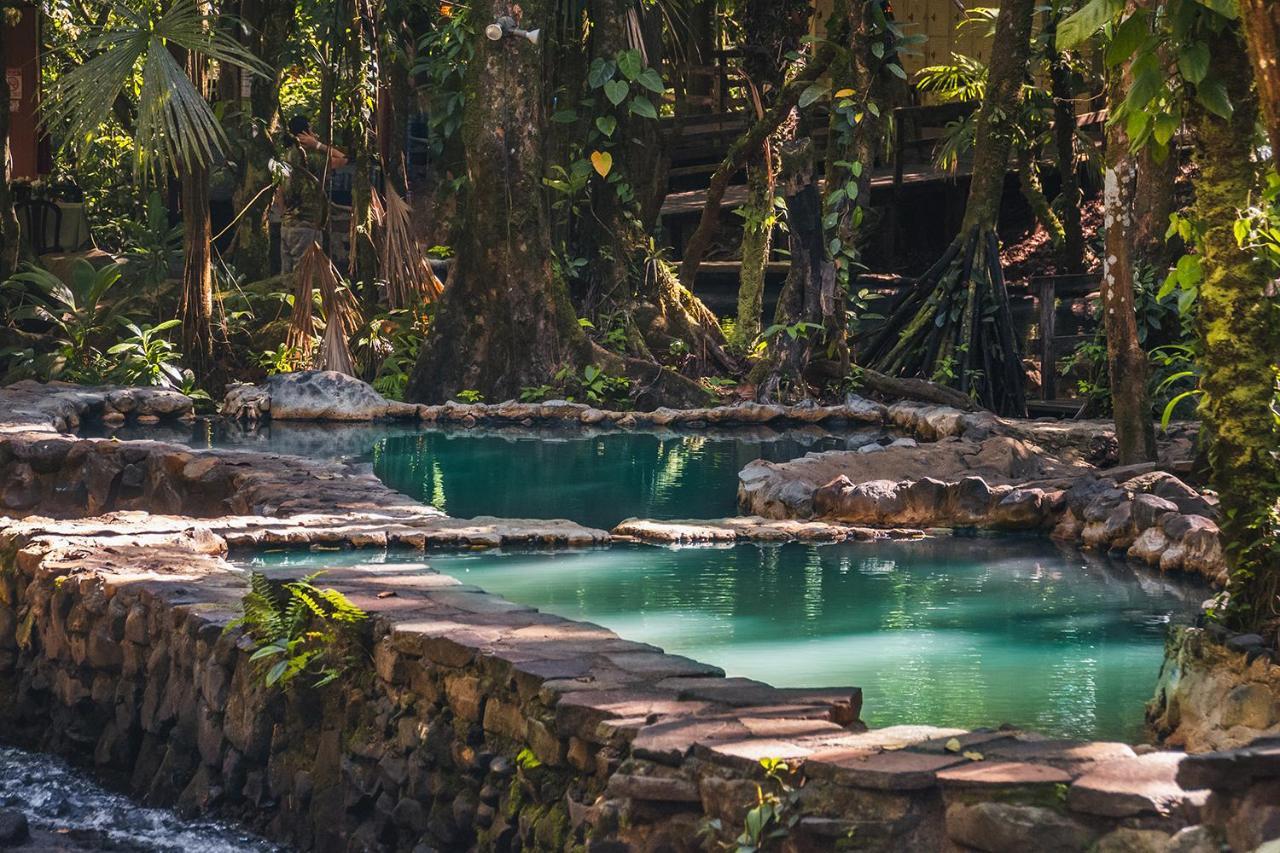Termales Del Bosque & Hot Springs 호텔 La Marina 외부 사진