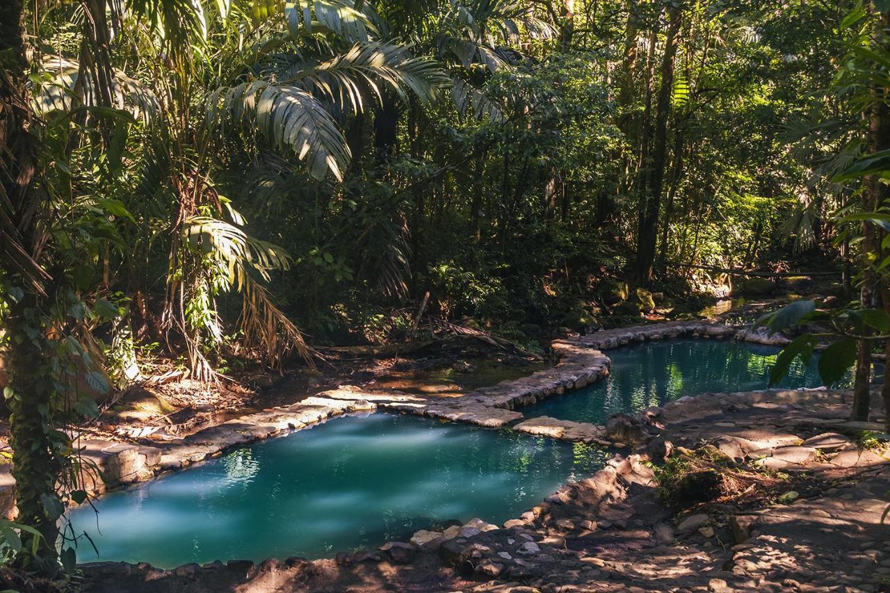 Termales Del Bosque & Hot Springs 호텔 La Marina 외부 사진